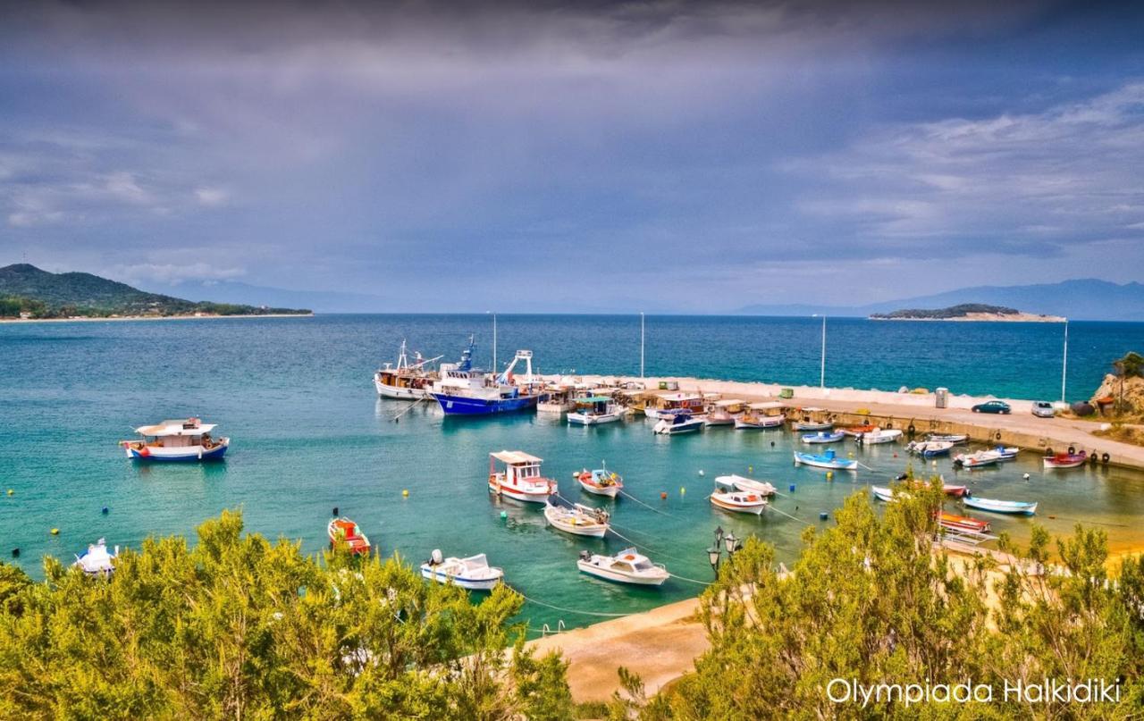 Mirini • Ancient Stagira Apts • Chalkidiki Olympiada Esterno foto